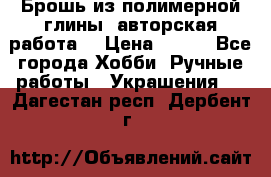 Брошь из полимерной глины, авторская работа. › Цена ­ 900 - Все города Хобби. Ручные работы » Украшения   . Дагестан респ.,Дербент г.